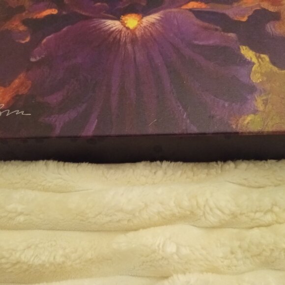 Simon Bull signed, #'d 'Beautiful Dreamer' giclee on canvas - Picture 3 of 3